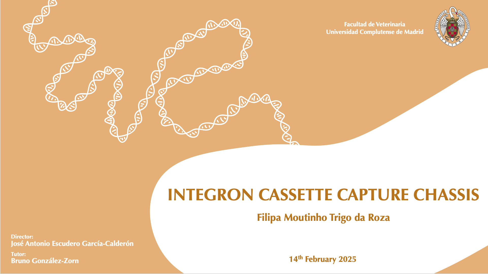 No te pierdas la tesis de Filipa Trigo. Anótalo en tu agenda: viernes 14 de febrero, 12:00 horas en el Salón de Actos